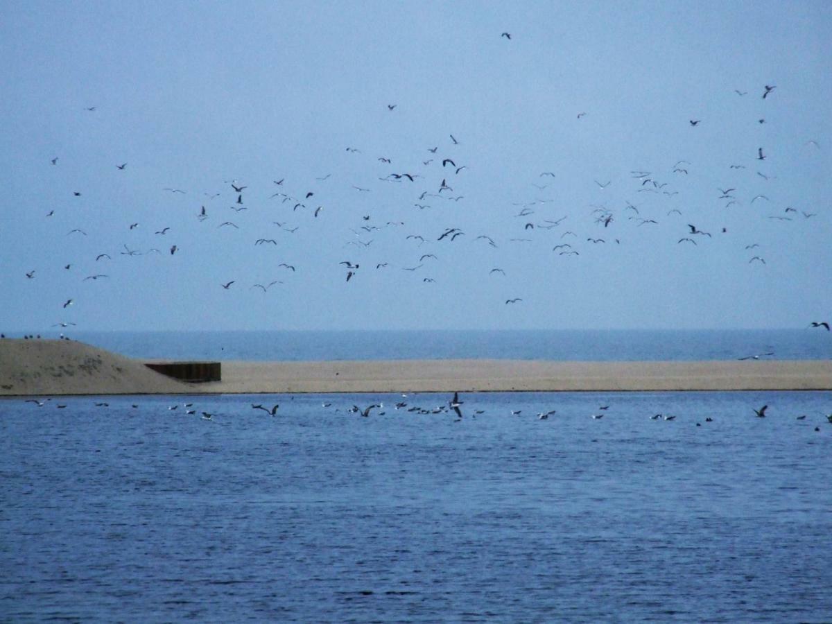 Casa Lagoa Verde Esmoriz Buitenkant foto