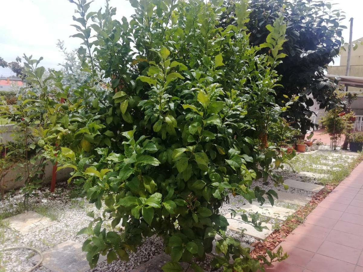 Casa Lagoa Verde Esmoriz Buitenkant foto
